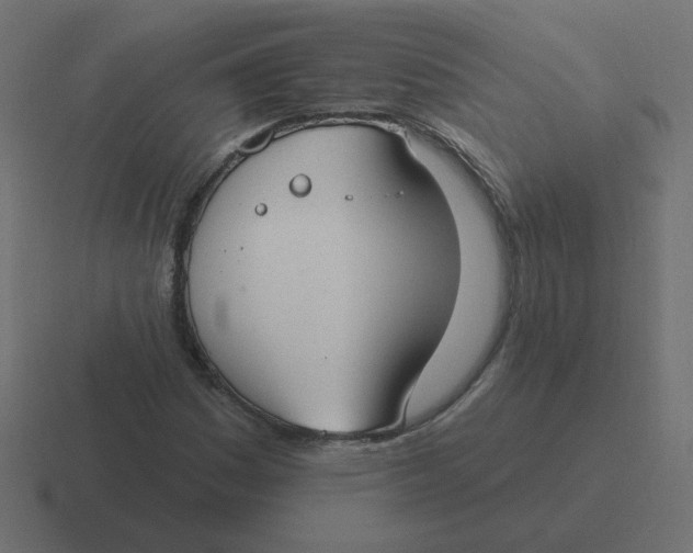 X0000116431161200912291902