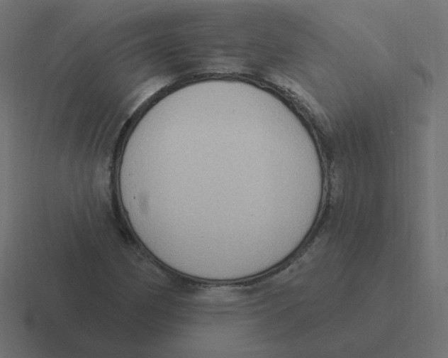 X0000116431162200912291902