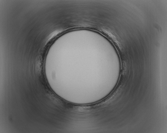 X0000116431163200912291902