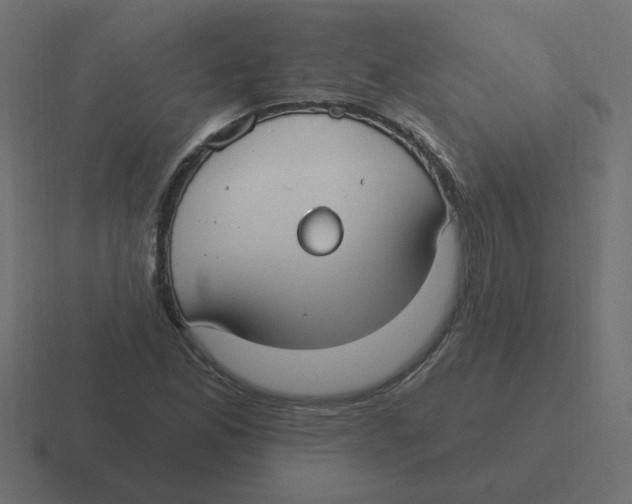 X0000116431165200912291902