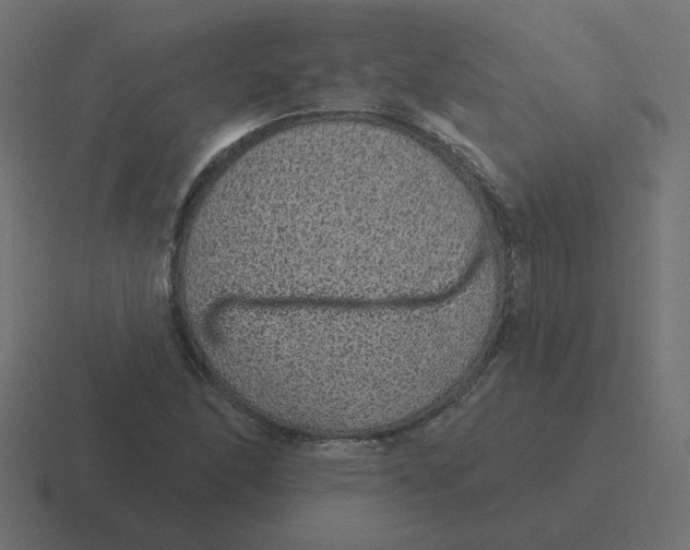 X0000116431166200912291902