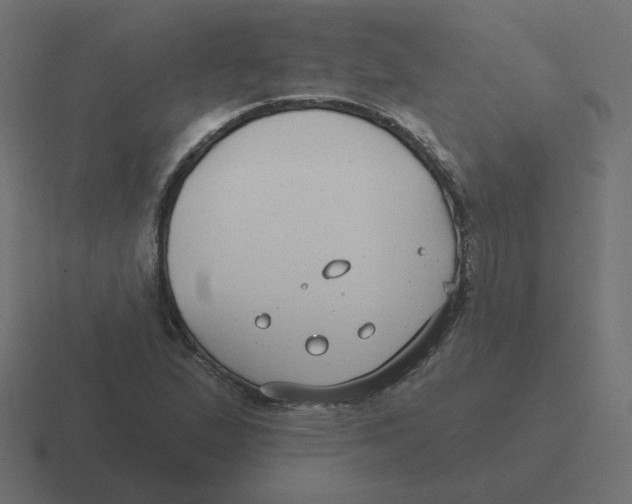 X0000116431167200912291902