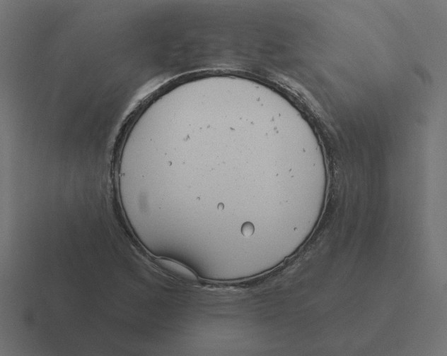 X0000116431168200912291902