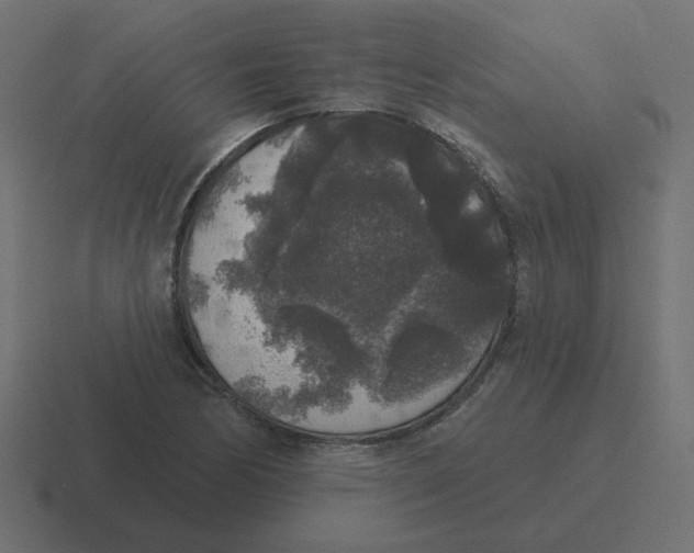 X0000116431170200912291902