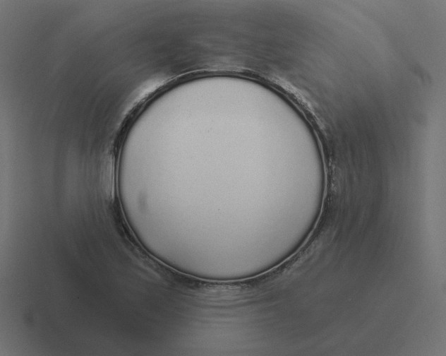 X0000116431171200912291902