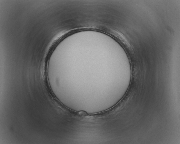 X0000116431172200912291902