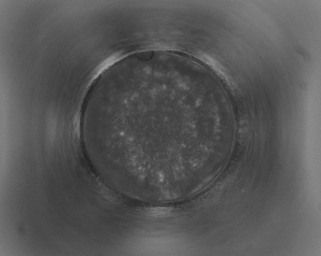 X0000116431173200912291902