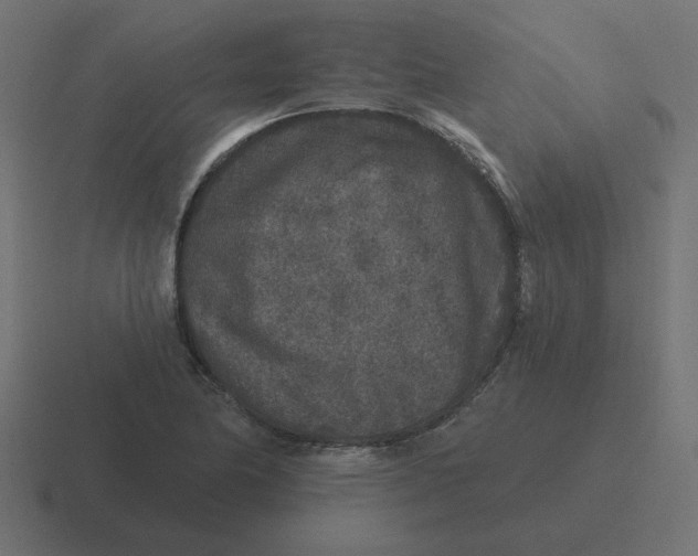 X0000116431174200912291902