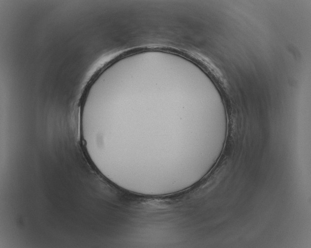 X0000116431175200912291902