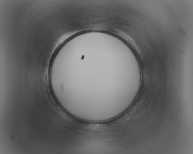 X0000116431176200912291902