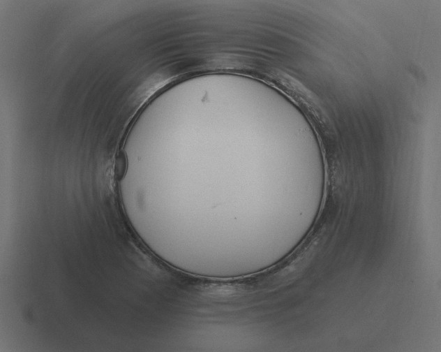 X0000116431177200912291902