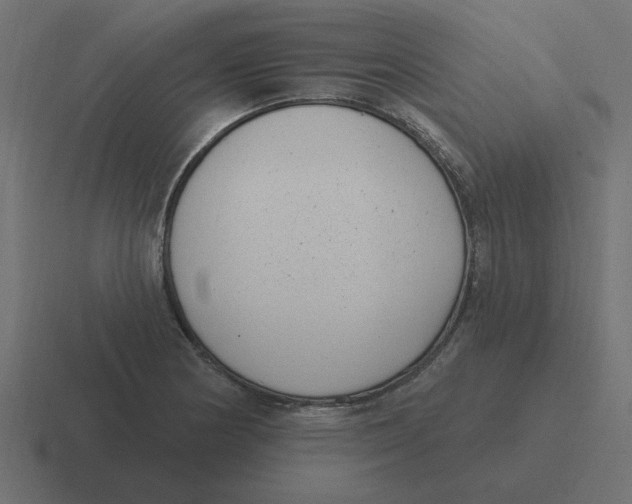 X0000116431178200912291902