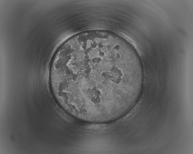 X0000116431179200912291902