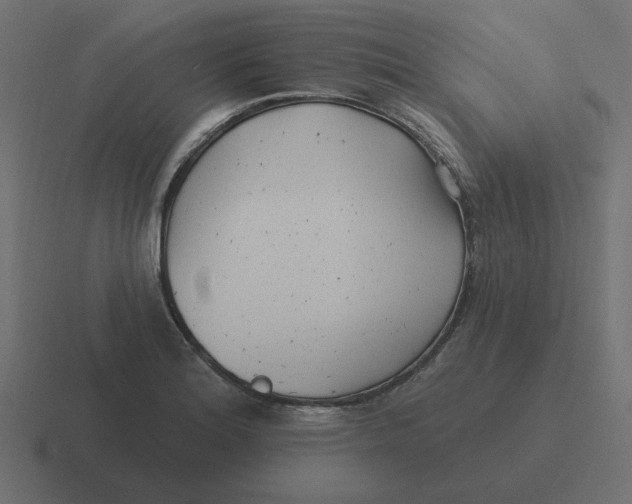 X0000116431180200912291902