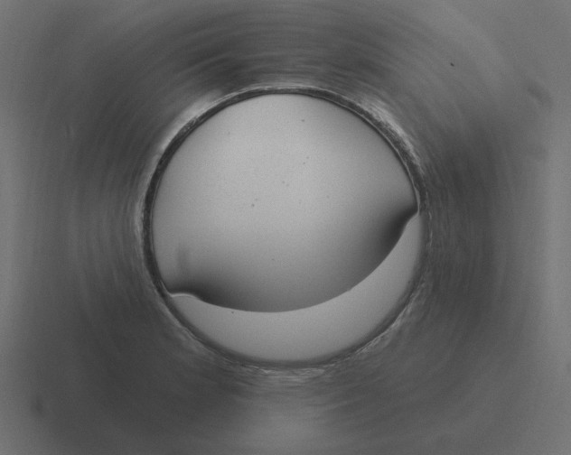 X0000116431181200912291902