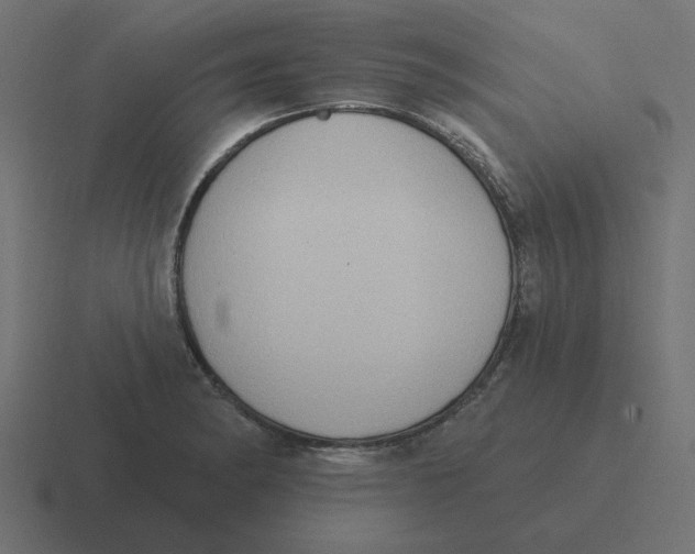 X0000116431182200912291902