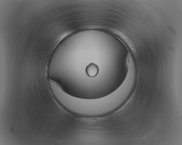 X0000116431185200912291902