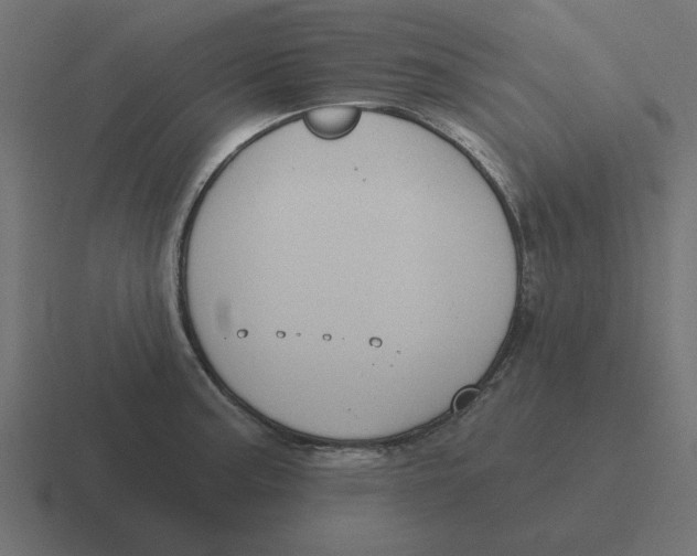 X0000116431187200912291902