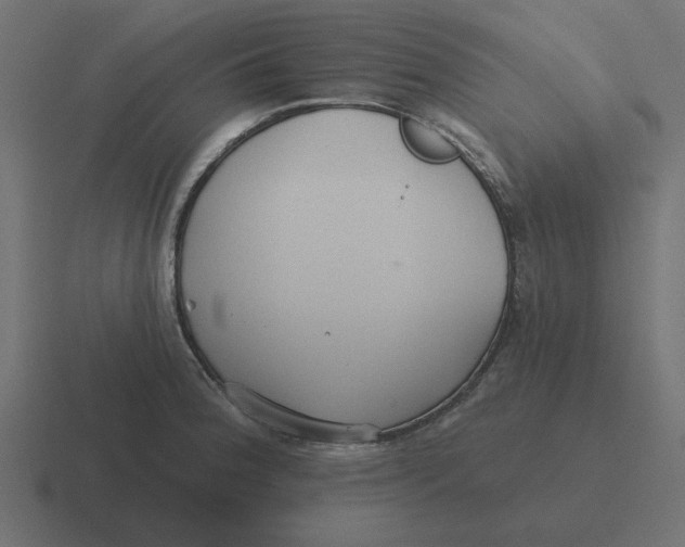 X0000116431188200912291902