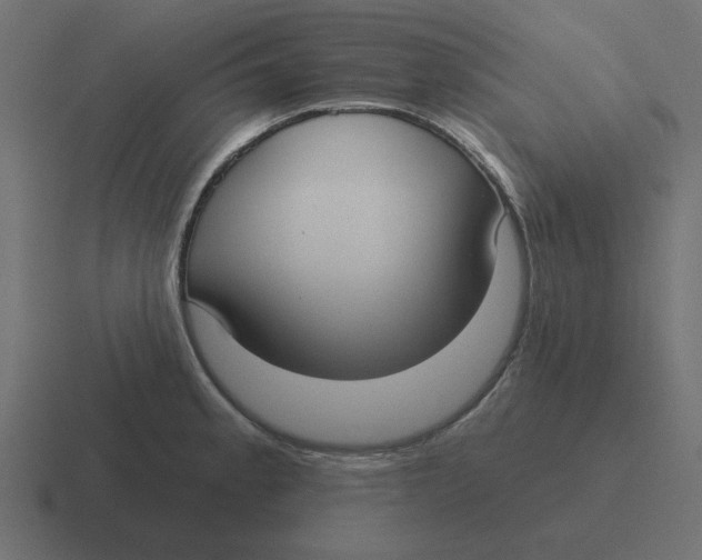 X0000116431189200912291902