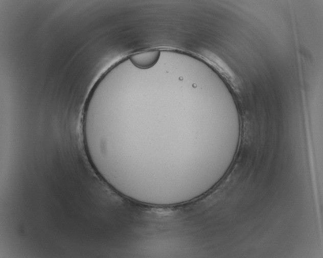 X0000116431190200912291902