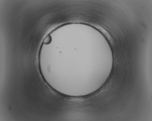 X0000116431191200912291902