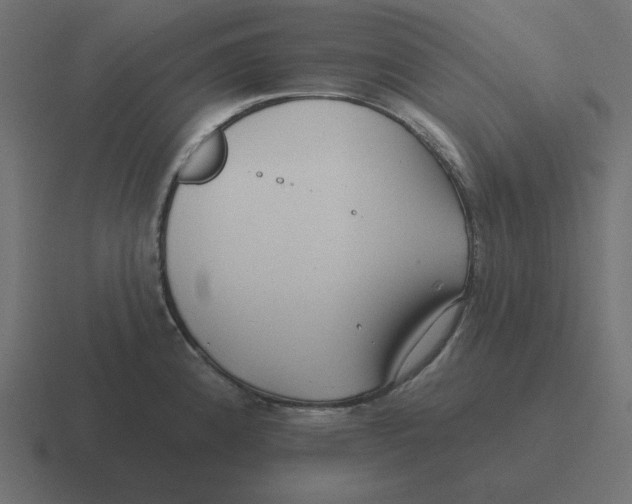 X0000116431192200912291902