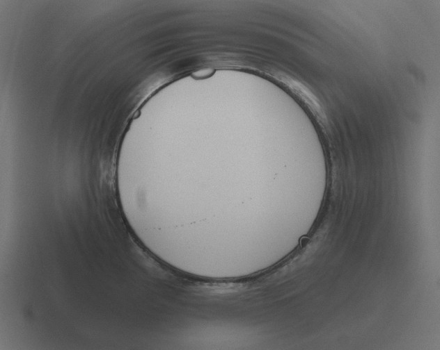 X0000116431193200912291902