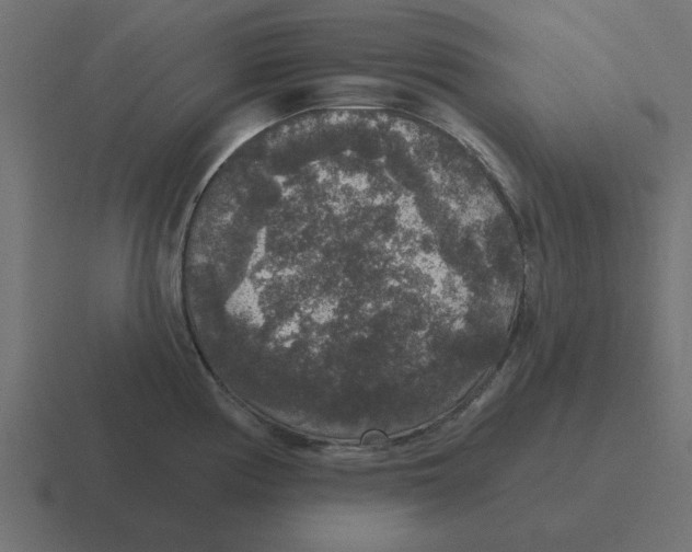 X0000116431194200912291902