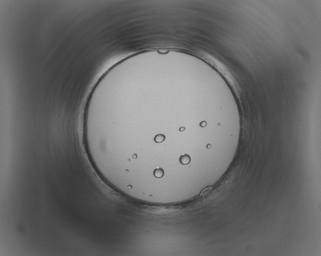 X0000116431195200912291902