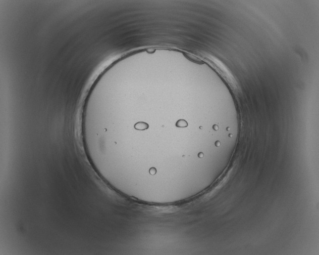 X0000116431196200912291902