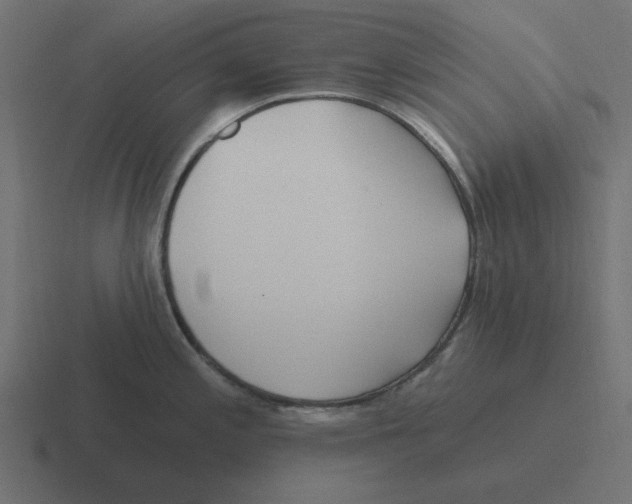 X0000116431197200912291902