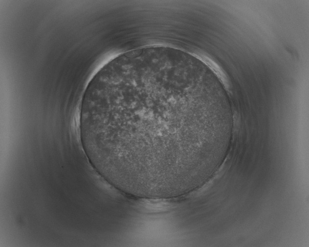 X0000116431198200912291902