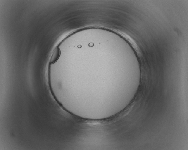 X0000116431199200912291902