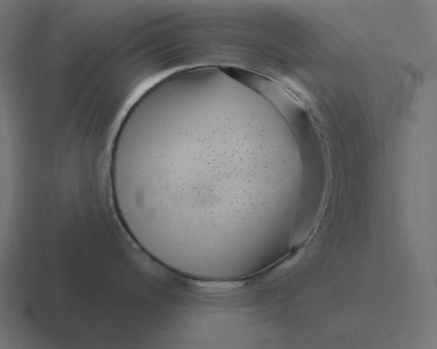 X0000116431200200912291902