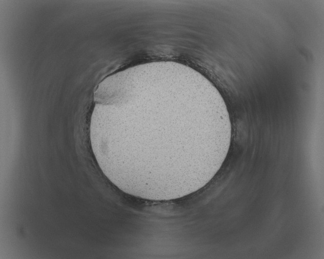 X0000116431201200912291901