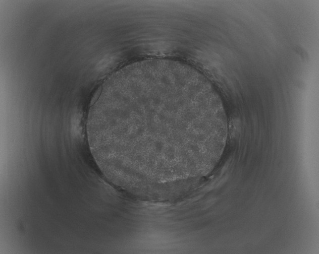 X0000116431202200912291901