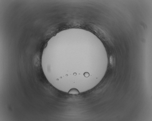 X0000116431203200912291901