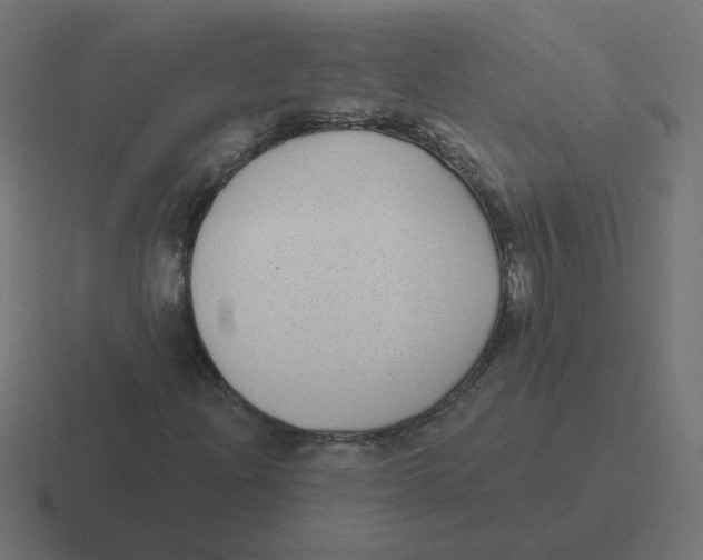 X0000116431204200912291901