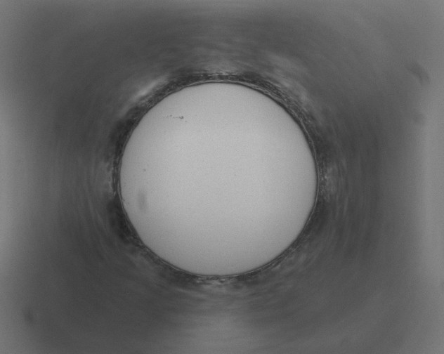 X0000116431205200912291901