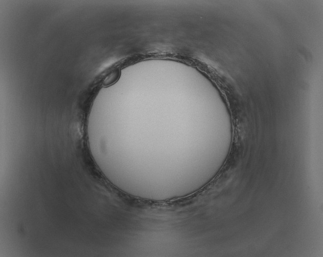 X0000116431206200912291901