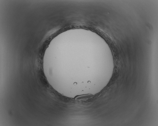 X0000116431207200912291901