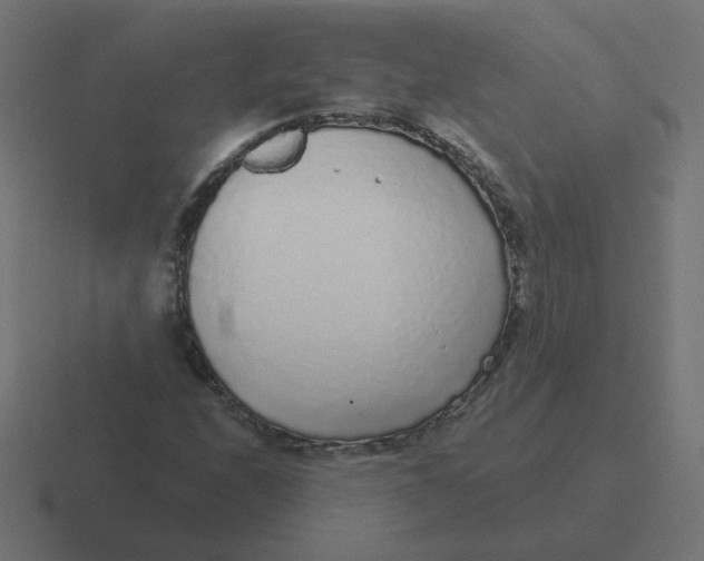 X0000116431208200912291901