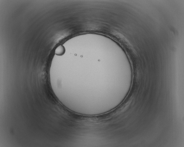 X0000116431210200912291901