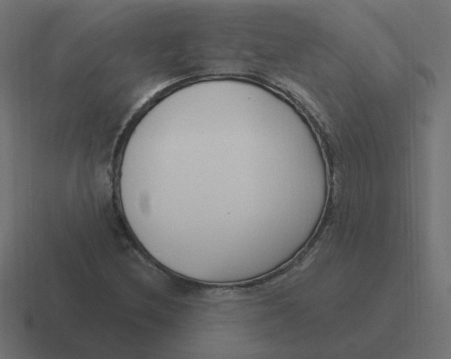 X0000116431212200912291901