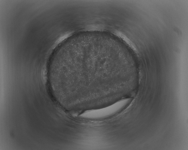 X0000116431213200912291902