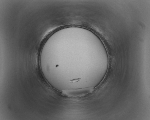 X0000116431214200912291902