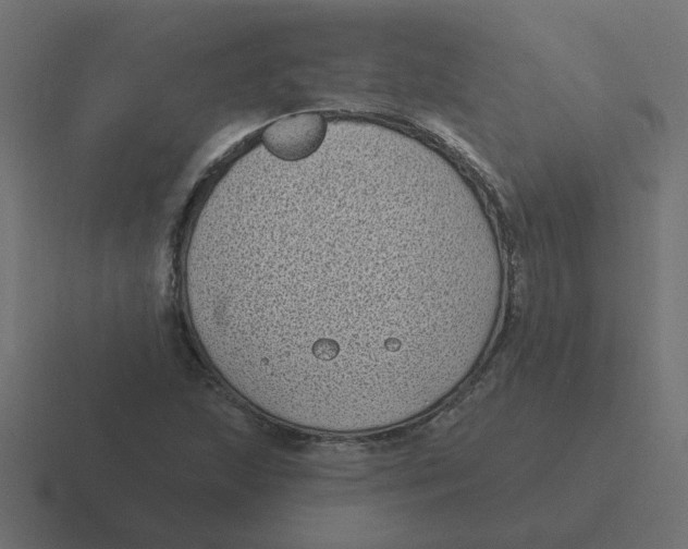 X0000116431215200912291902