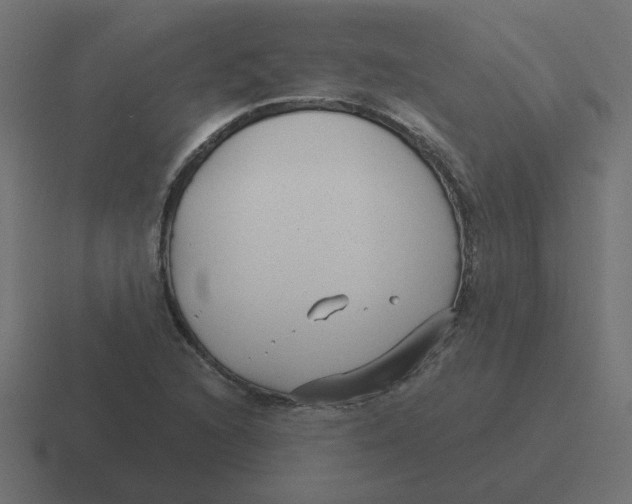 X0000116431216200912291902