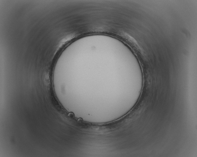 X0000116431218200912291902